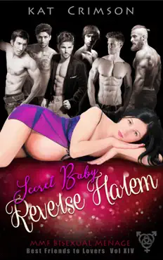 secret baby reverse harem book cover image