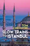 Slow Trains to Istanbul sinopsis y comentarios