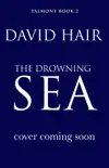 The Drowning Sea synopsis, comments