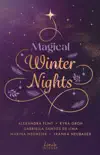Magical Winter Nights sinopsis y comentarios