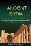 Ancient Syria:A Fascinating History of the Eblaites and Akkadians through the Arameans, Assyrians, Seleucids, Romans, and Byzantines - A View of Different Civilizations in Syria sinopsis y comentarios