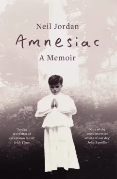 amnesiac book cover image