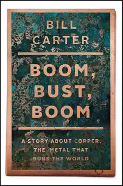 boom, bust, boom book cover image