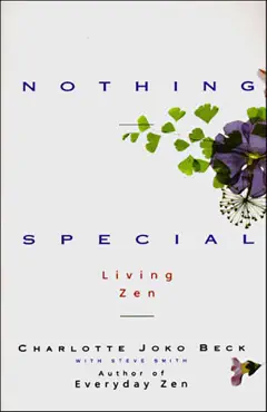 nothing special book cover image