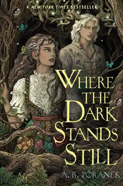 where the dark stands still book cover image