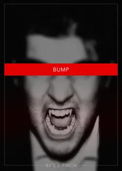 bump book cover image