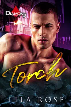 torch book cover image
