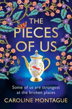 the pieces of us book cover image