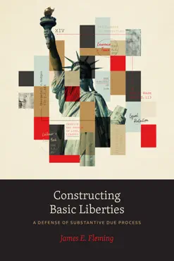 constructing basic liberties book cover image