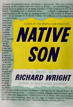 native son book cover image