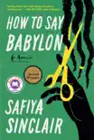 How to Say Babylon synopsis, comments