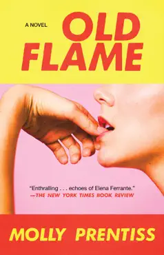 old flame book cover image