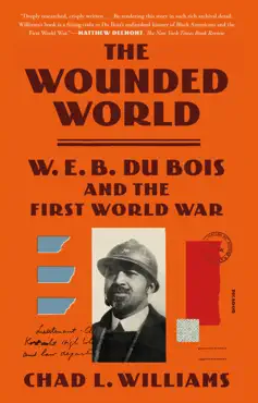 the wounded world book cover image