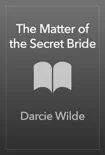 The Matter of the Secret Bride sinopsis y comentarios