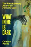 What in Me Is Dark synopsis, comments
