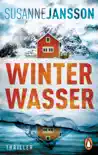 Winterwasser synopsis, comments
