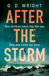 After the Storm synopsis, comments