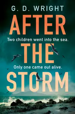 after the storm book cover image