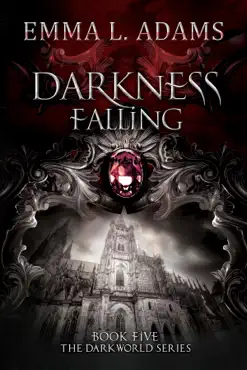 darkness falling book cover image