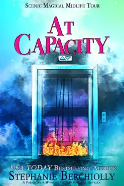 at capacity book cover image
