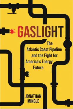 gaslight book cover image