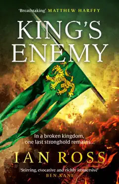 king's enemy imagen de la portada del libro
