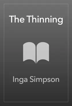 the thinning book cover image