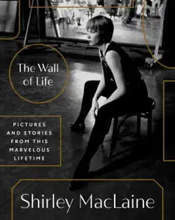 the wall of life book cover image