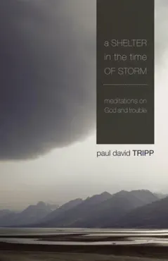 a shelter in the time of storm book cover image