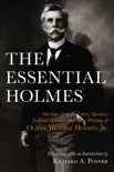 The Essential Holmes sinopsis y comentarios