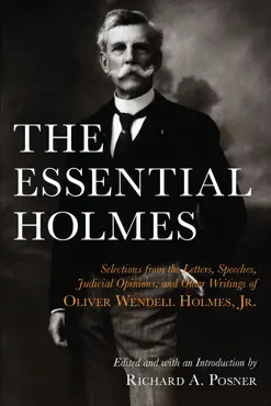 the essential holmes imagen de la portada del libro