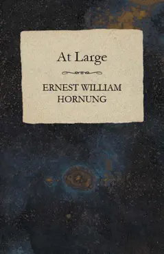 at large book cover image