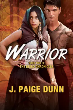 warrior: book two of the druid chronicles book cover image