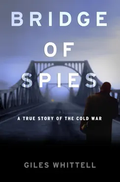 bridge of spies book cover image