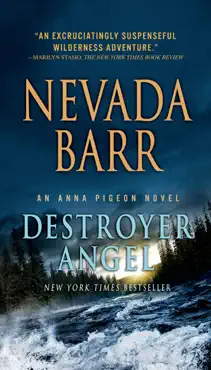 destroyer angel book cover image