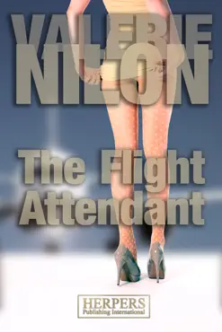 the flight attendant book cover image
