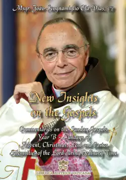new insights on the gospels - volume iii book cover image