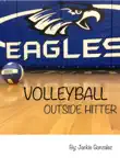 VOLLEYBALL synopsis, comments