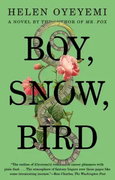 boy, snow, bird book cover image