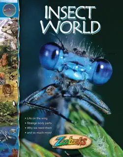 zoobooks insect world book cover image