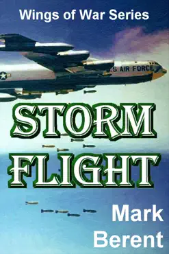 storm flight book cover image