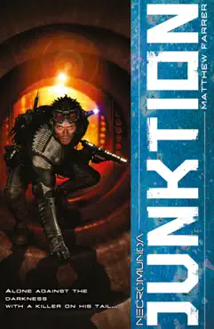 junktion book cover image
