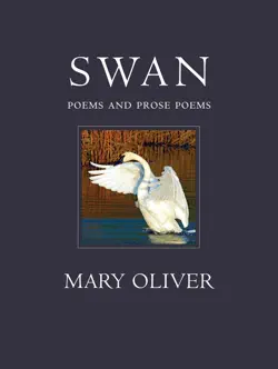 swan book cover image