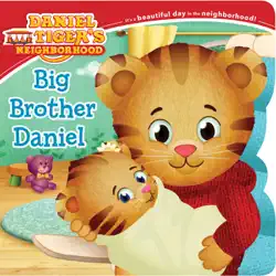 big brother daniel book cover image