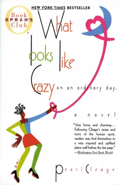 what looks like crazy on an ordinary day book cover image