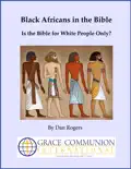 Black Africans in the Bible: Is the Bible for White People Only? e-book
