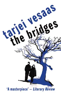 the bridges book cover image