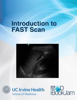 introduction to fast scan book cover image