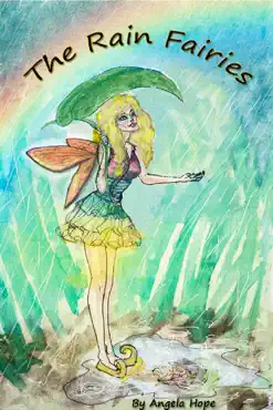 the rain fairies book cover image