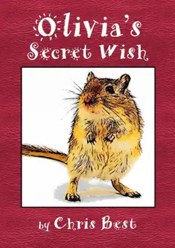 olivia's secret wish book cover image